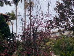 -东苑餐厅(厦门大学店)