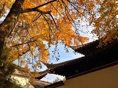 -西园戒幢律寺
