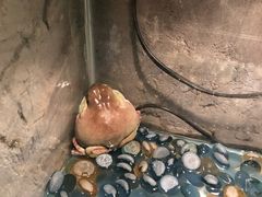 -锦艺城海洋馆