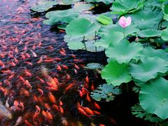 -西海子公园