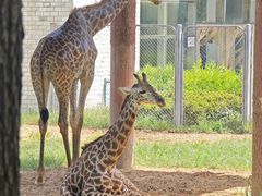 -石家庄市动物园