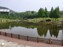 -龙吟九品(青龙山庄店)