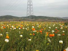 -艾山风景名胜区