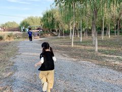 -西青郊野公园
