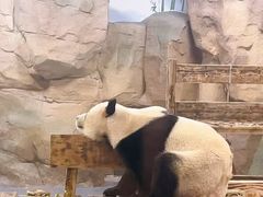-无锡动物园·太湖欢乐园