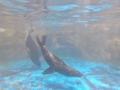 -洛阳龙门海洋馆