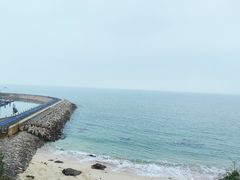-杨梅坑
