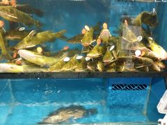 -盒马鲜生(曜一城店)
