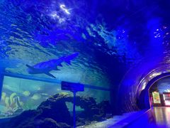 -常州海昌海洋探索馆