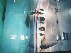 -北戴河圣蓝海洋公园