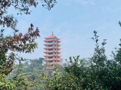 -缙云山景区