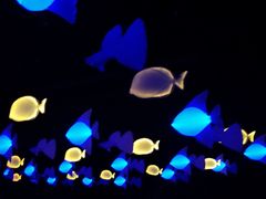 -三亚千古情景区游客中心-接待中心