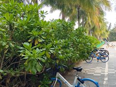 -白沙门生态公园