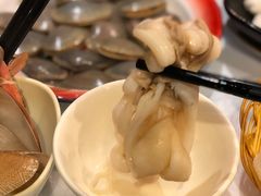 -鲜入围煮花胶鸡海鲜火锅