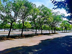 -胜华驾校·小猫学车(银都店)