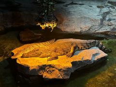 -泉城欧乐堡海洋极地世界