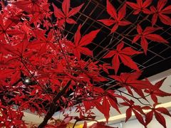 -禾珍珠家常小馆(河南博物院店)