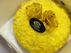 -COVA(环贸iapm店)