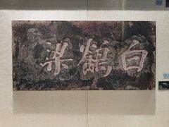 -白鹤梁水下博物馆