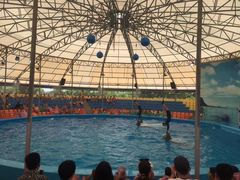 -尼莫海豚馆