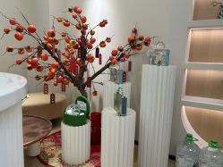 -skin79皮肤管理中心