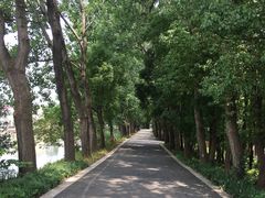 -同里国家湿地公园