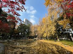 -温江公园