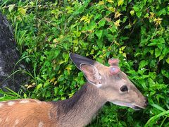 -萍乡武功山风景名胜区