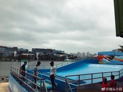 -欢乐海岸椰林沙滩-2025湾区超级灯会