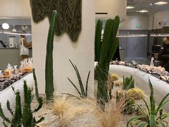 -OUR Bakery(SKP-S店)