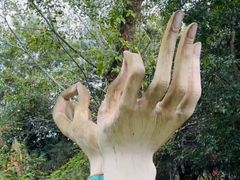 -瑞丽独树成林风景区