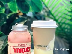 草莓益力多-SENTEA森茶(麦地丽日店)