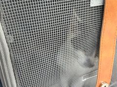 -御宝贝24h宠物医院·转诊中心·CT核磁血透中心(厦门总院)