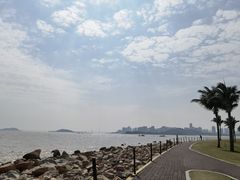 -野狸岛