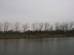 溱湖国家湿地公园02-溱湖国家湿地公园