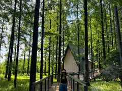 -黄海国家森林公园