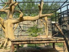 -石家庄市动物园