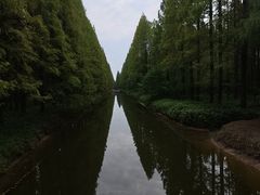 -黄海国家森林公园