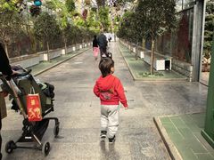 -南宫五洲植物乐园