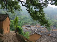 -杨家堂村