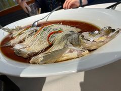 -丹江渔村(望京店)