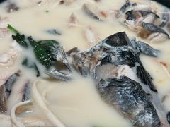 -鲜潭蒸汽石锅鱼(五道口购物中心店)