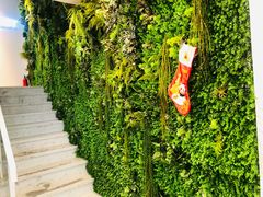 -执茶识麦(万达华府店)