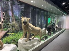 -宝岩生态观光园