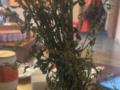 -端艾堂·SPA·艾灸(棕榈泉013店)