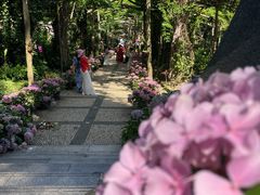-广西壮族自治区药用植物园