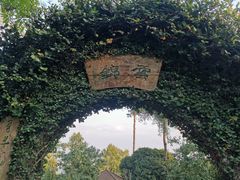 -南山植物园