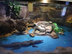 -多彩贵州城极地海洋世界