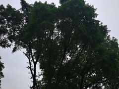 -人民公园(罗湖区)