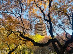 -玲珑塔公园